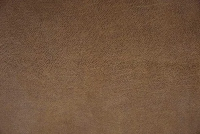 L60 Bull (S2) – L60 Bull Camel