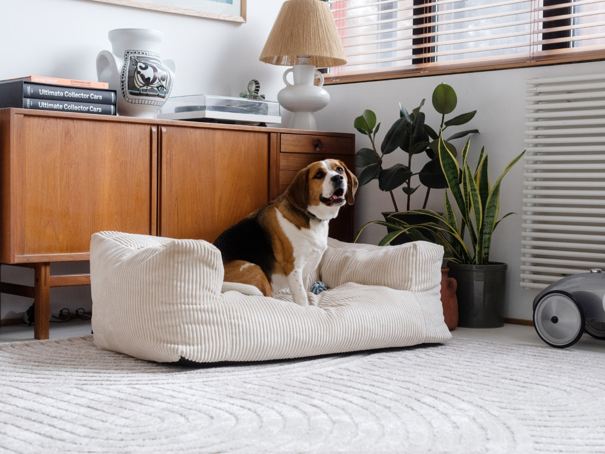 Bobochic Salto Hundekorb Cordsamt Beige, Größe L (90 cm)