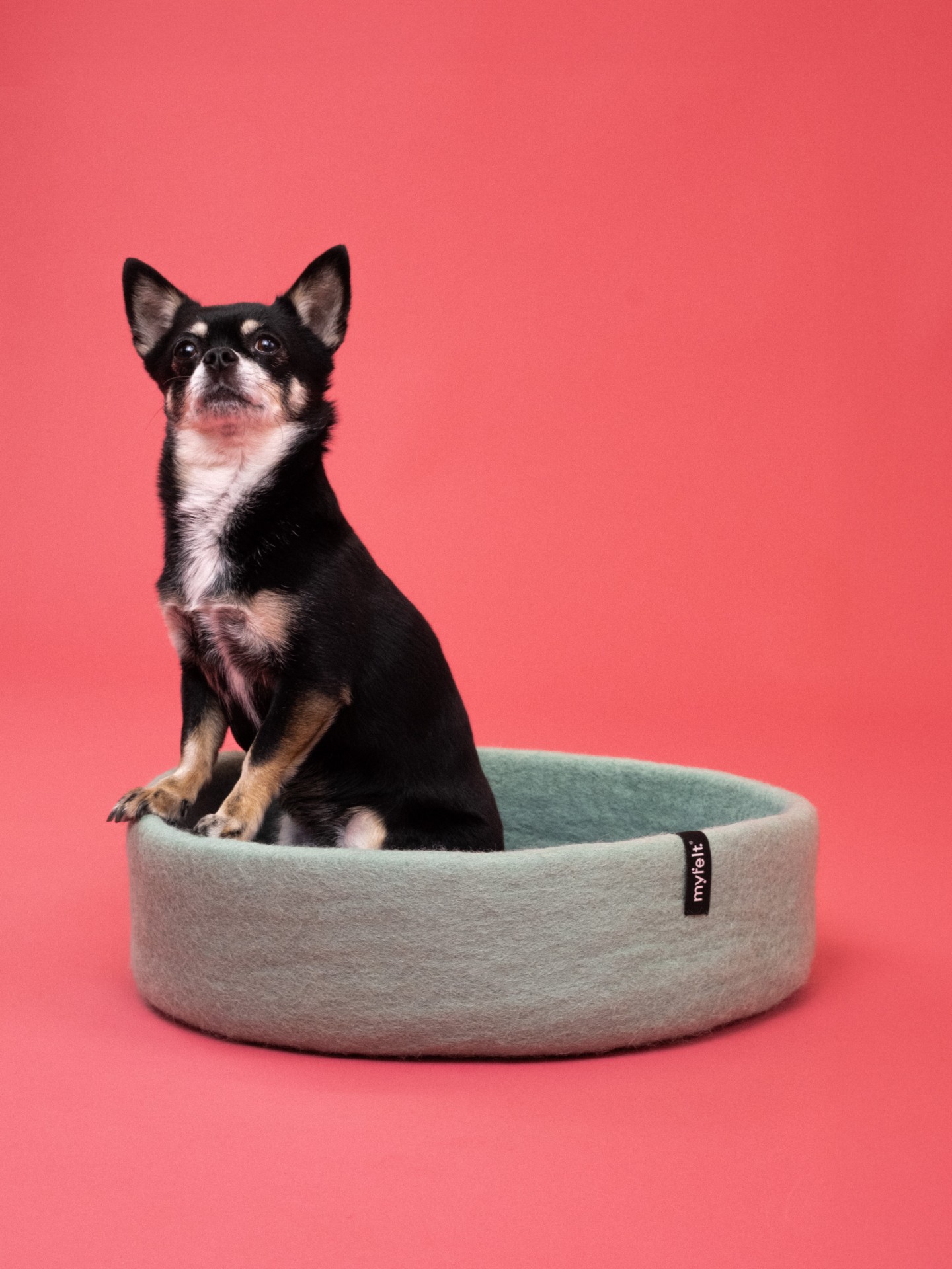 myfelt Fine Hundekorb - Inlay Ockergelb