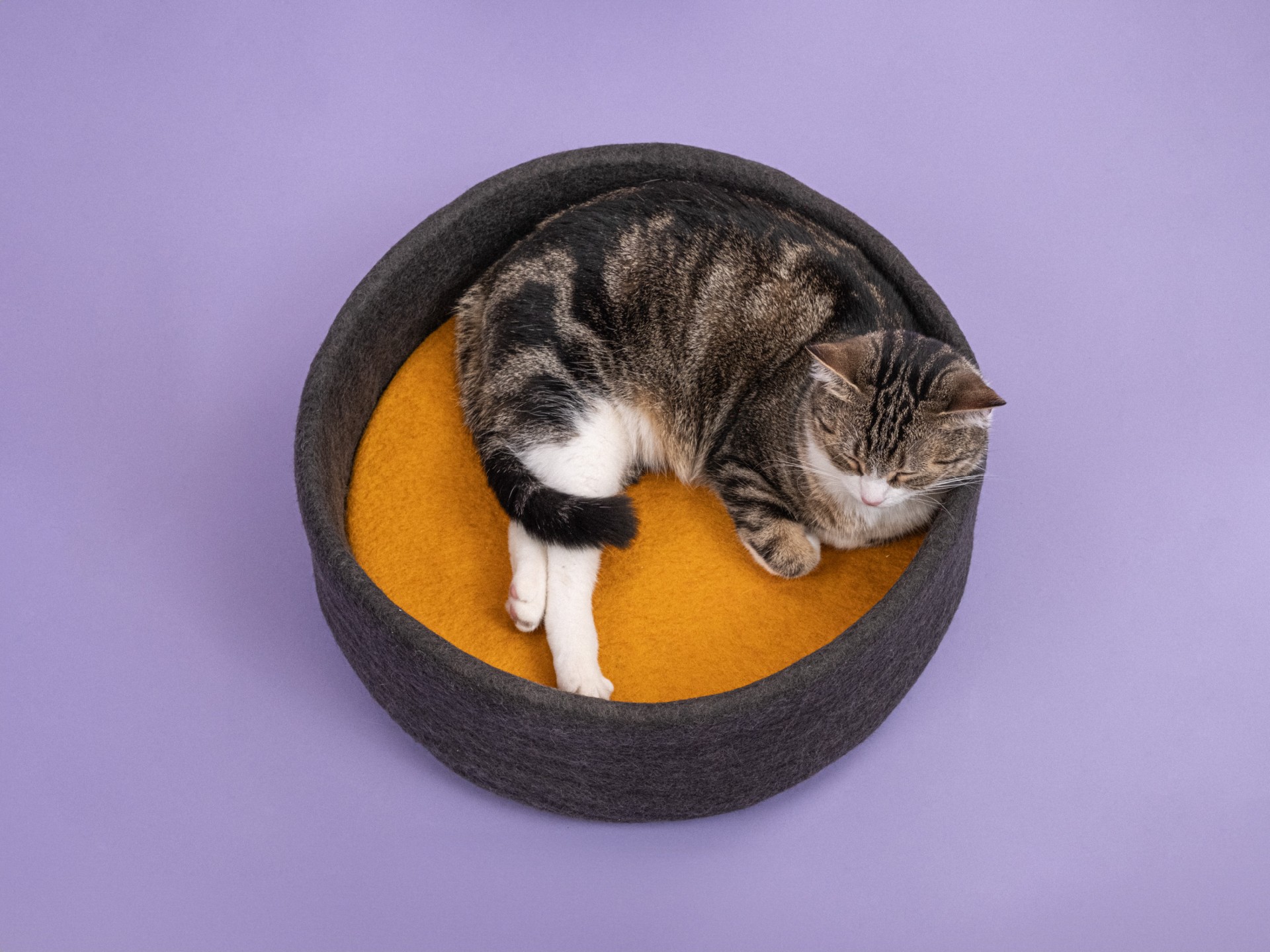 myfelt Kuno Katzenkorb - Inlay Rotorange
