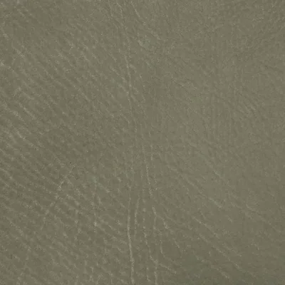 Africa leder (S) – Africa Turtle