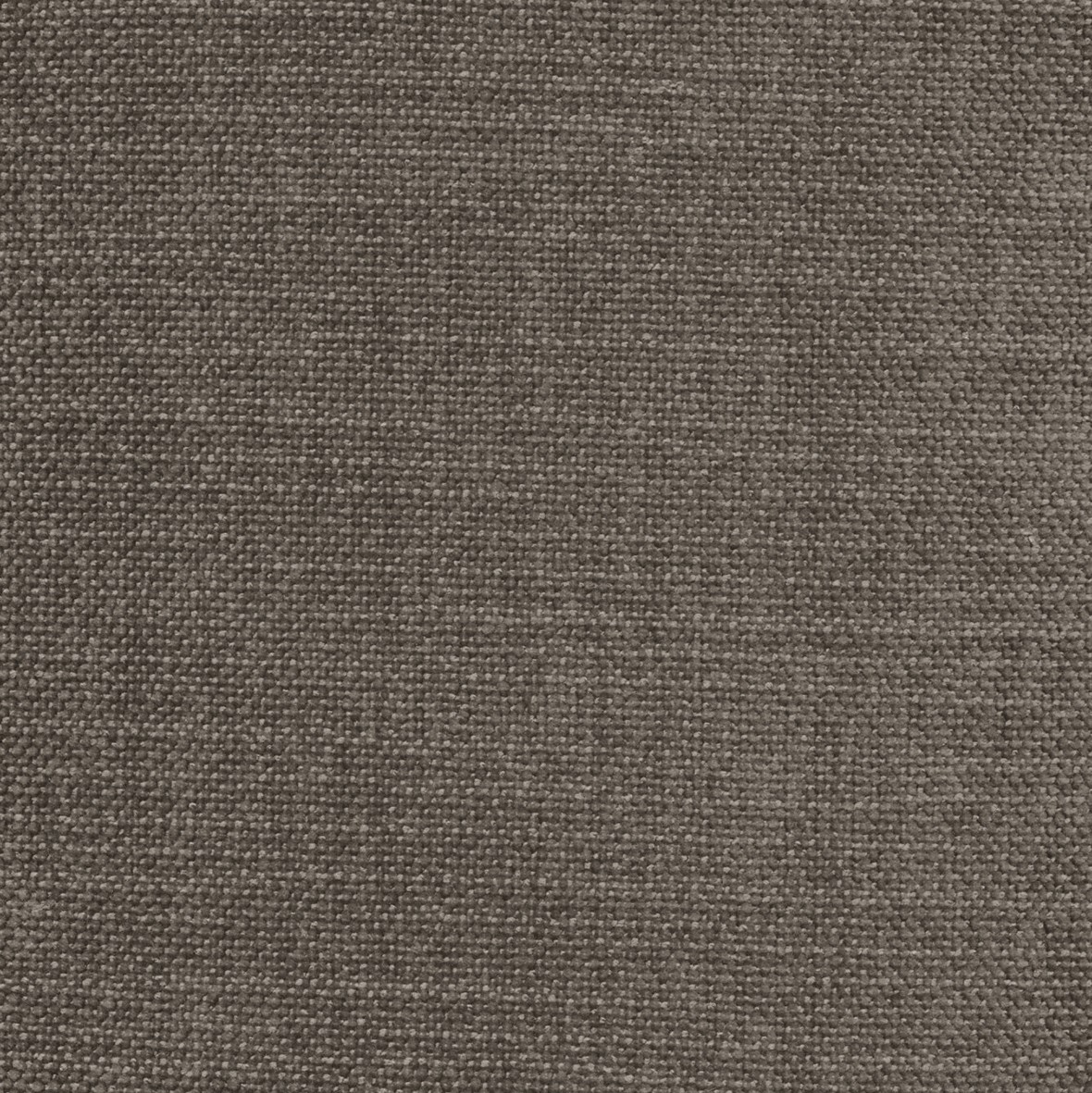 Chenille Esina · 411-Cedar-Brown