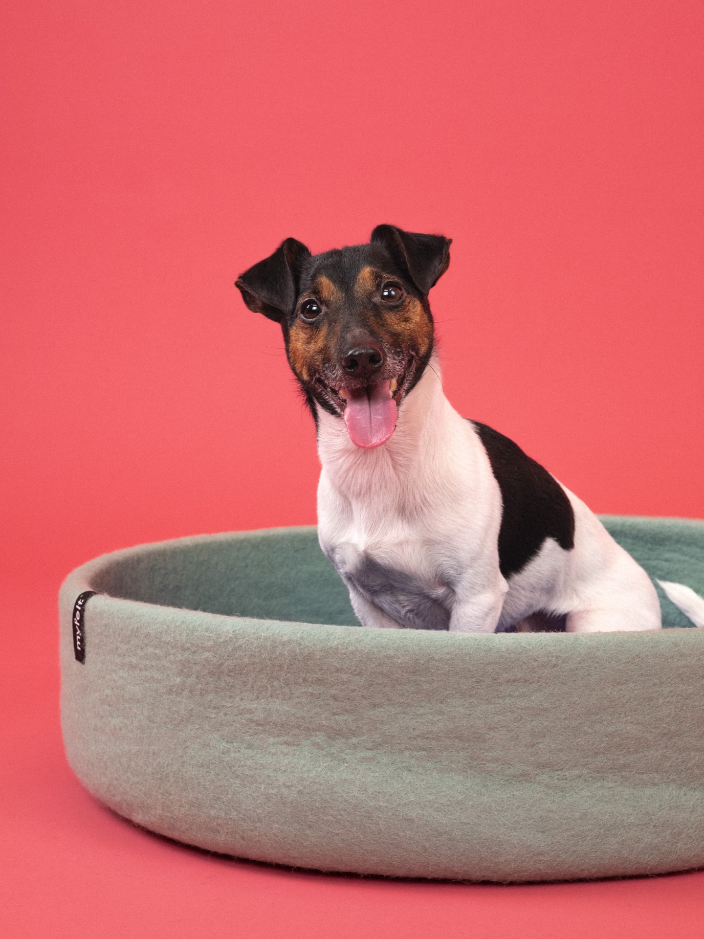 myfelt Fine Hundekorb - Inlay Braun