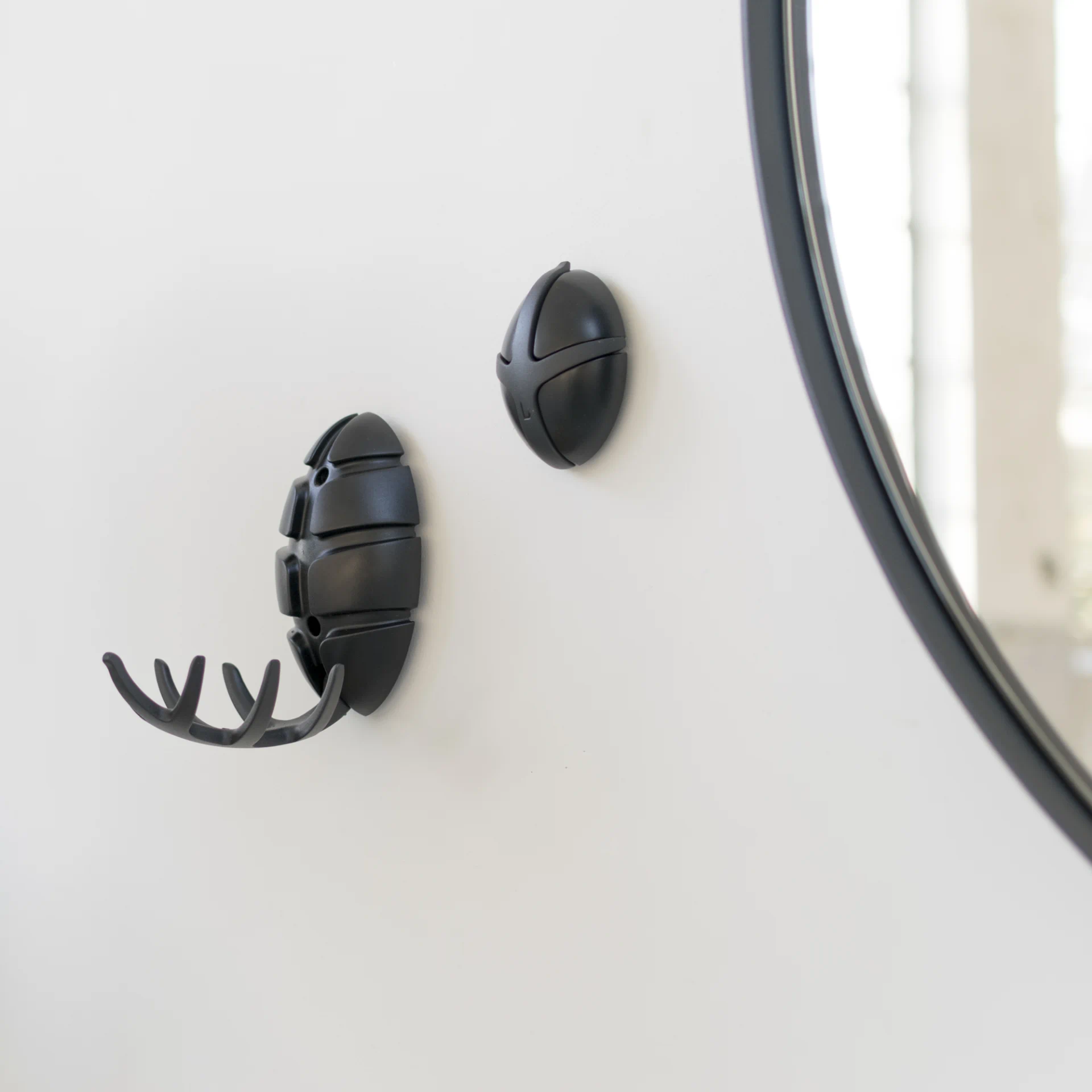 Spinder Design Wandgarderobe Bug Schwarz