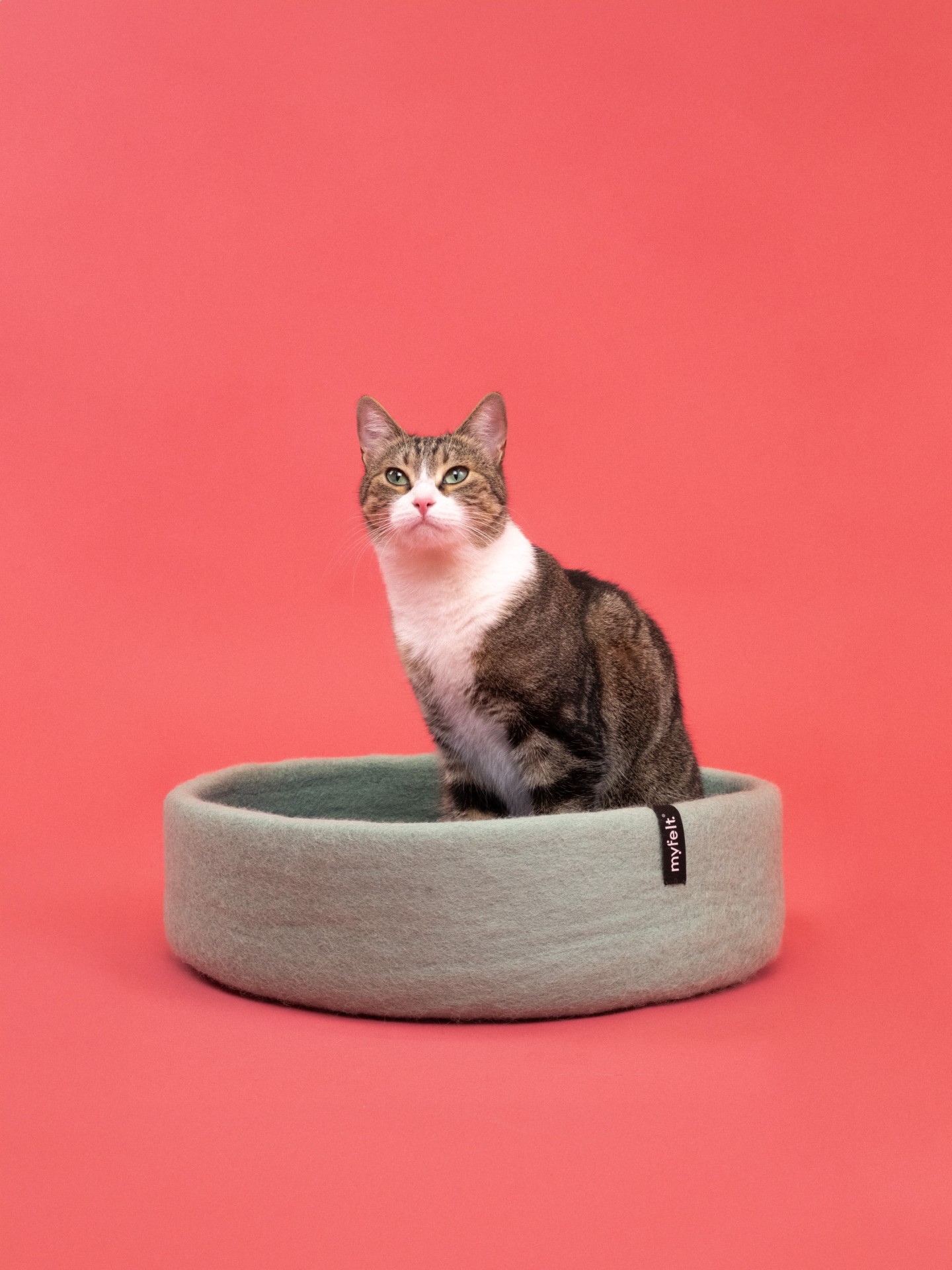 myfelt Fine Katzenkorb - Inlay Rotorange