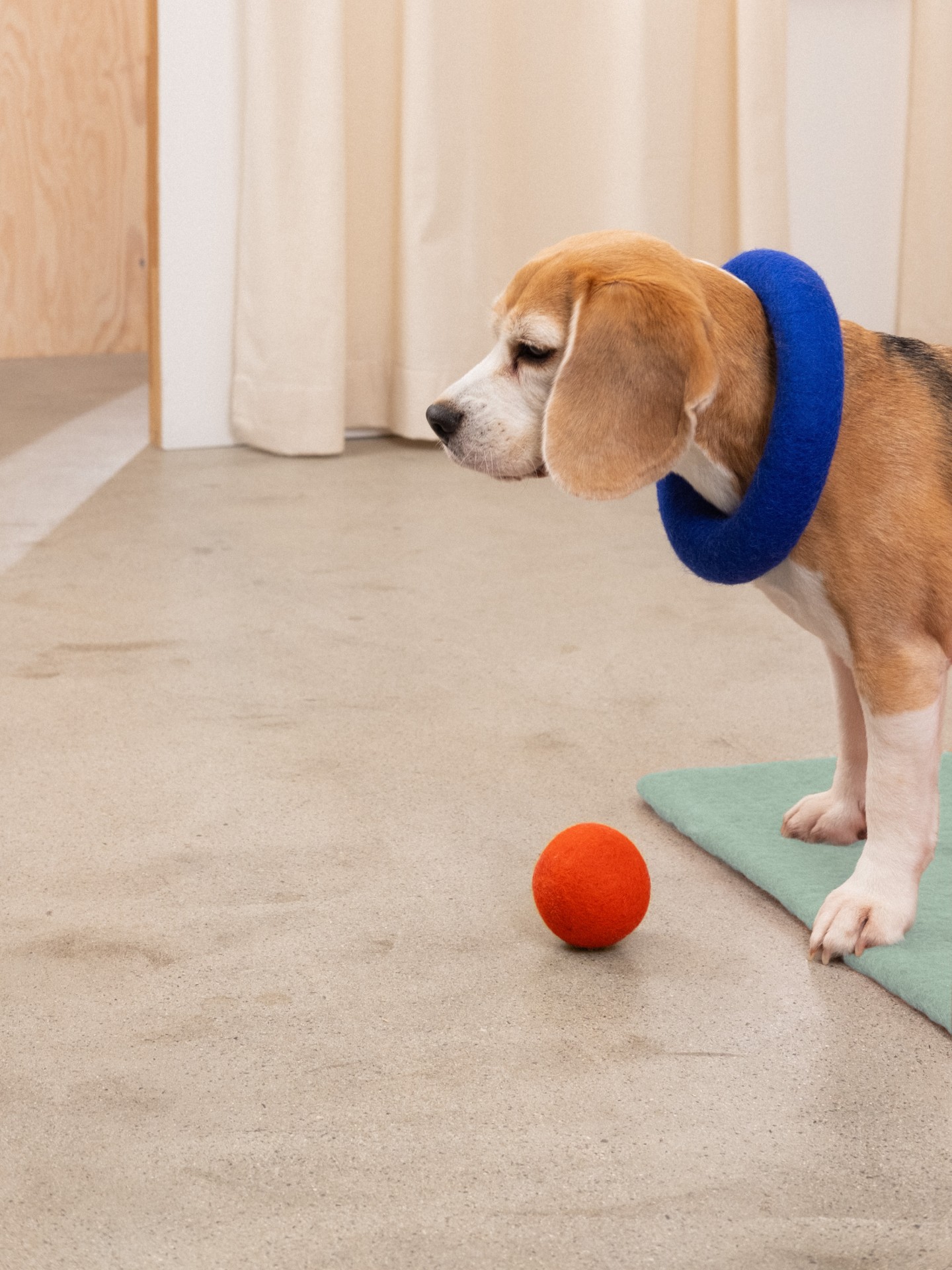 myfelt Fine & Isa Hundespielzeug - Ball Set