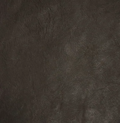 Africa leder (S) – Africa Testa di Moro