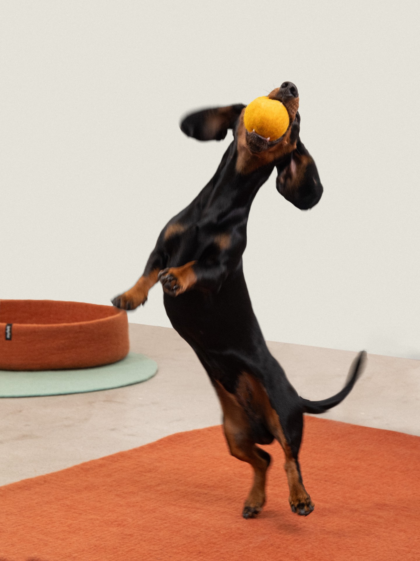myfelt Fine & Isa Hundespielzeug - Ball Set