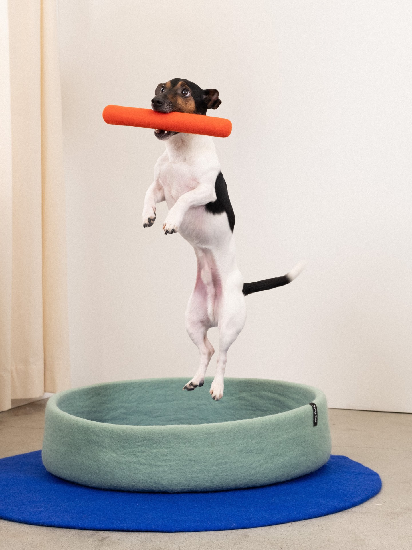 myfelt Mats Hundespielzeug - Stock