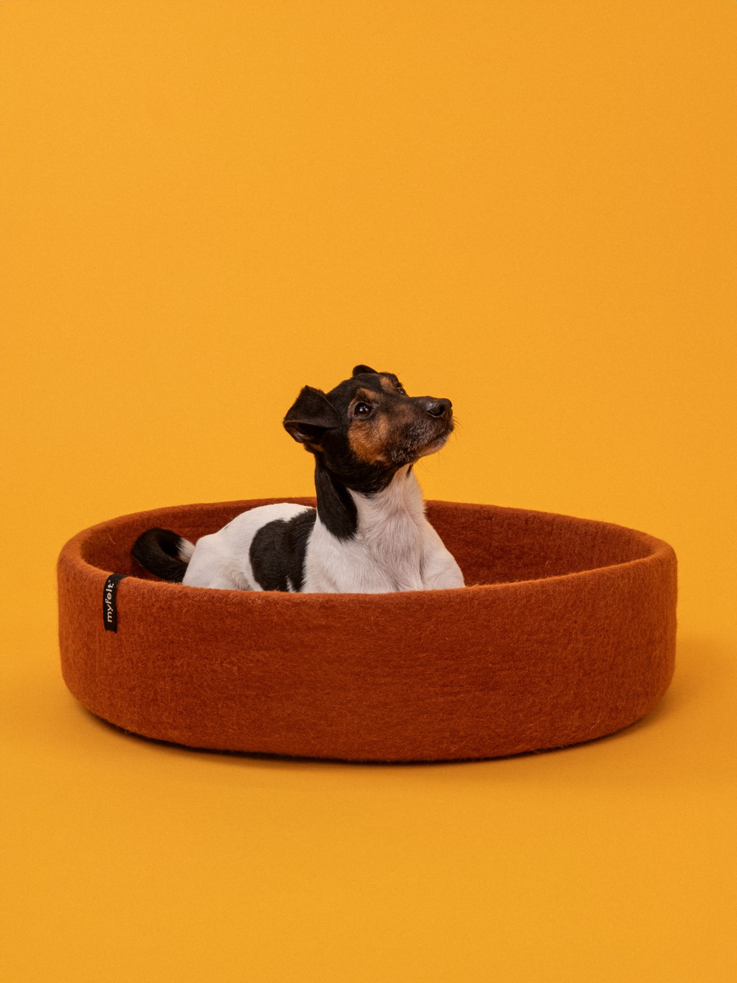myfelt Lora Hundekorb - Inlay Beige