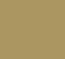 paint-jan-icon