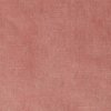 magenta_macau_coral