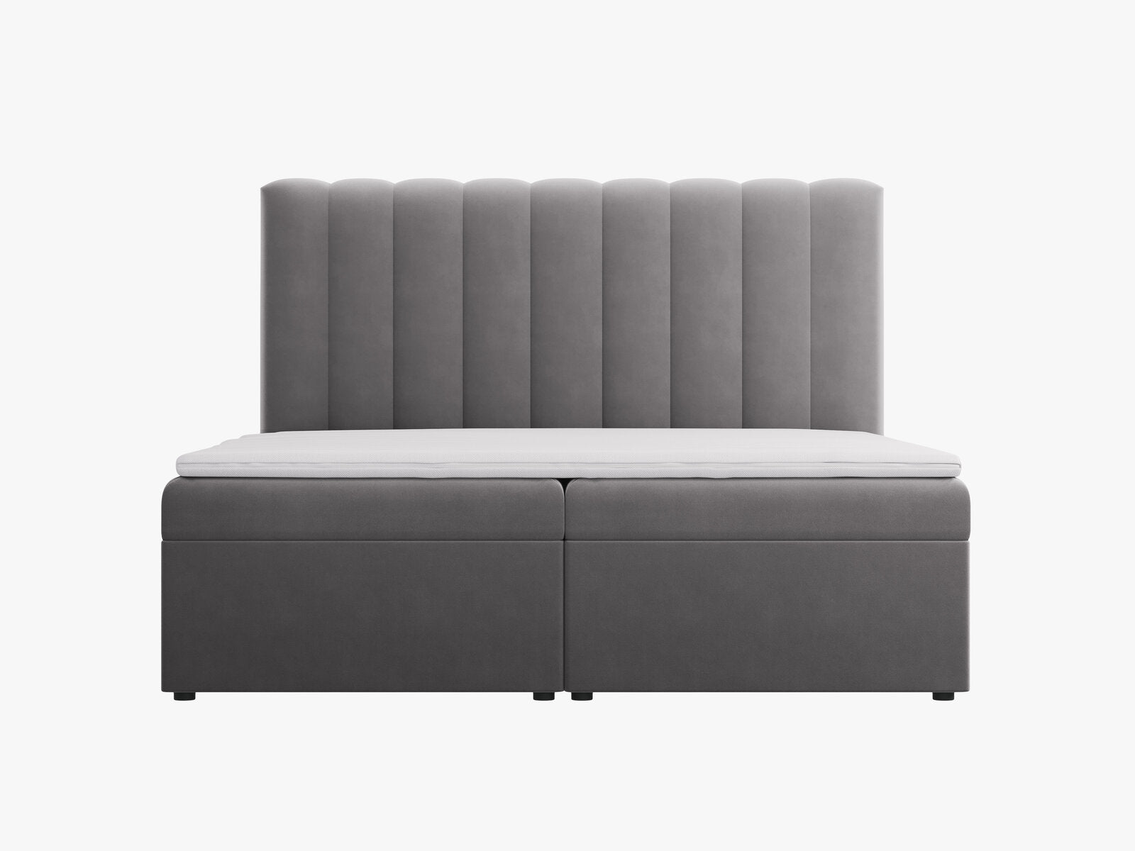 Micadoni Boxspringbett Kelp Samt Grau 140x200