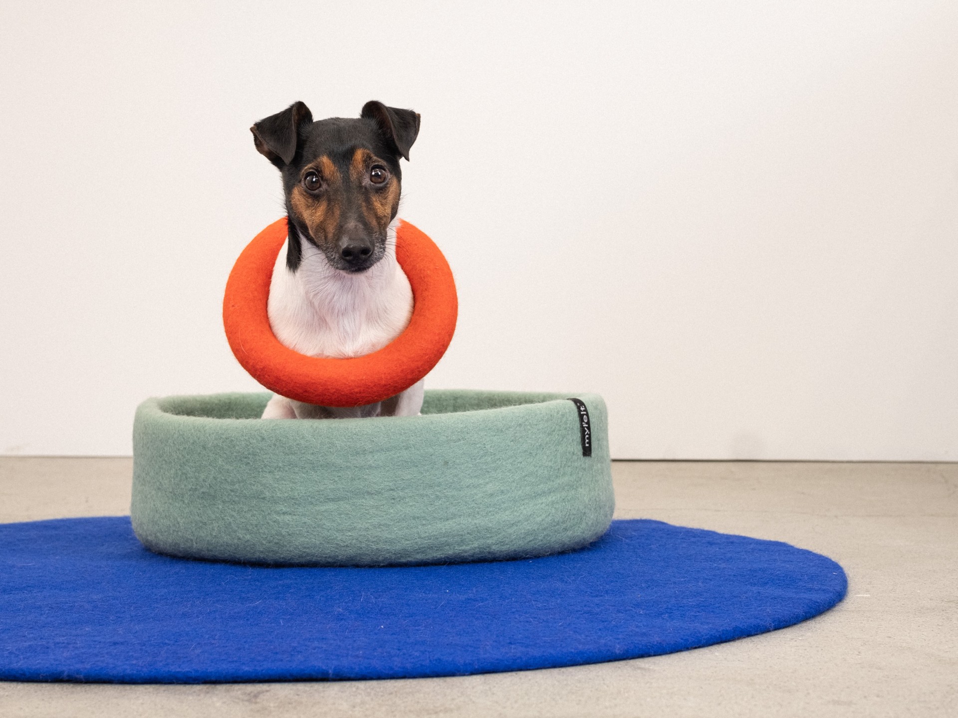 myfelt Fine Hundekorb - Inlay Ockergelb
