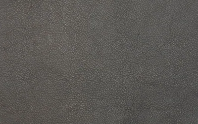 Atlanta Buffalo leder (D) – Atlanta Grey