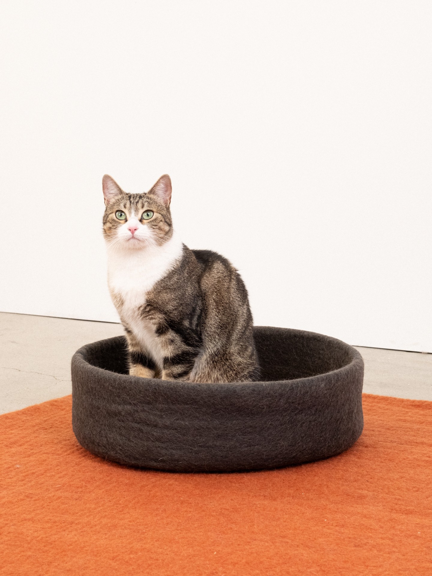 myfelt Kuno Katzenkorb - Inlay Rotorange