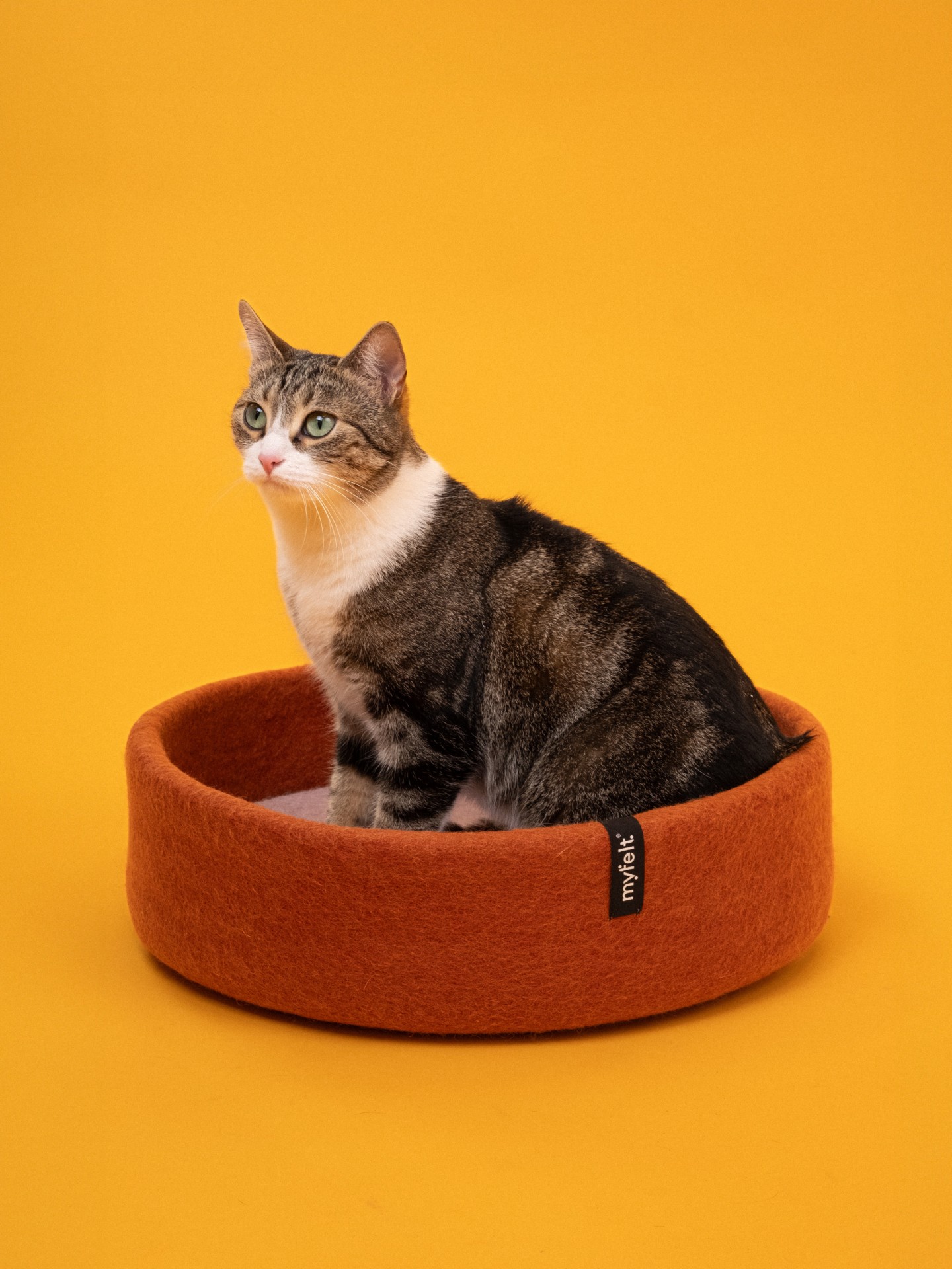 myfelt Lora Katzenkorb - Inlay Ockergelb