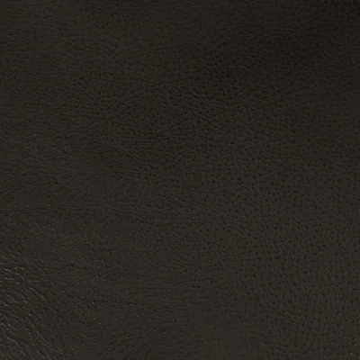 Bullet leder (D) – Bullet Coal