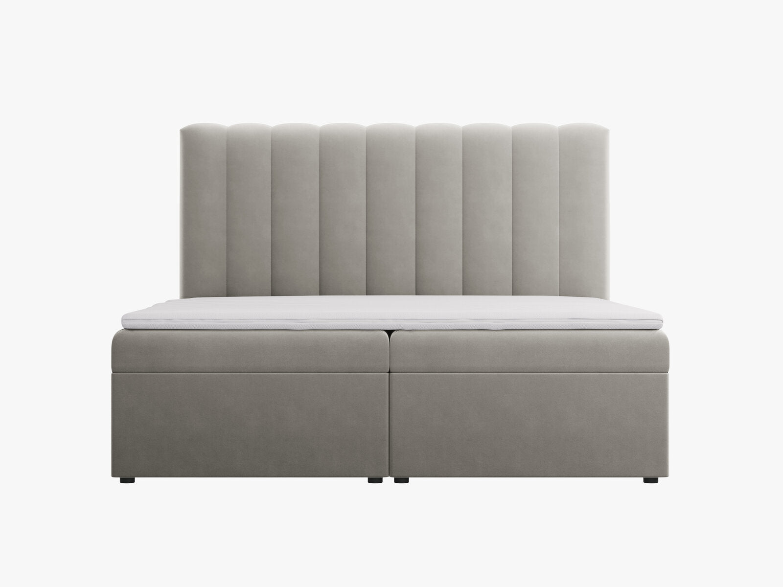 Micadoni Boxspringbett Kelp Samt Hellgrau 180x200