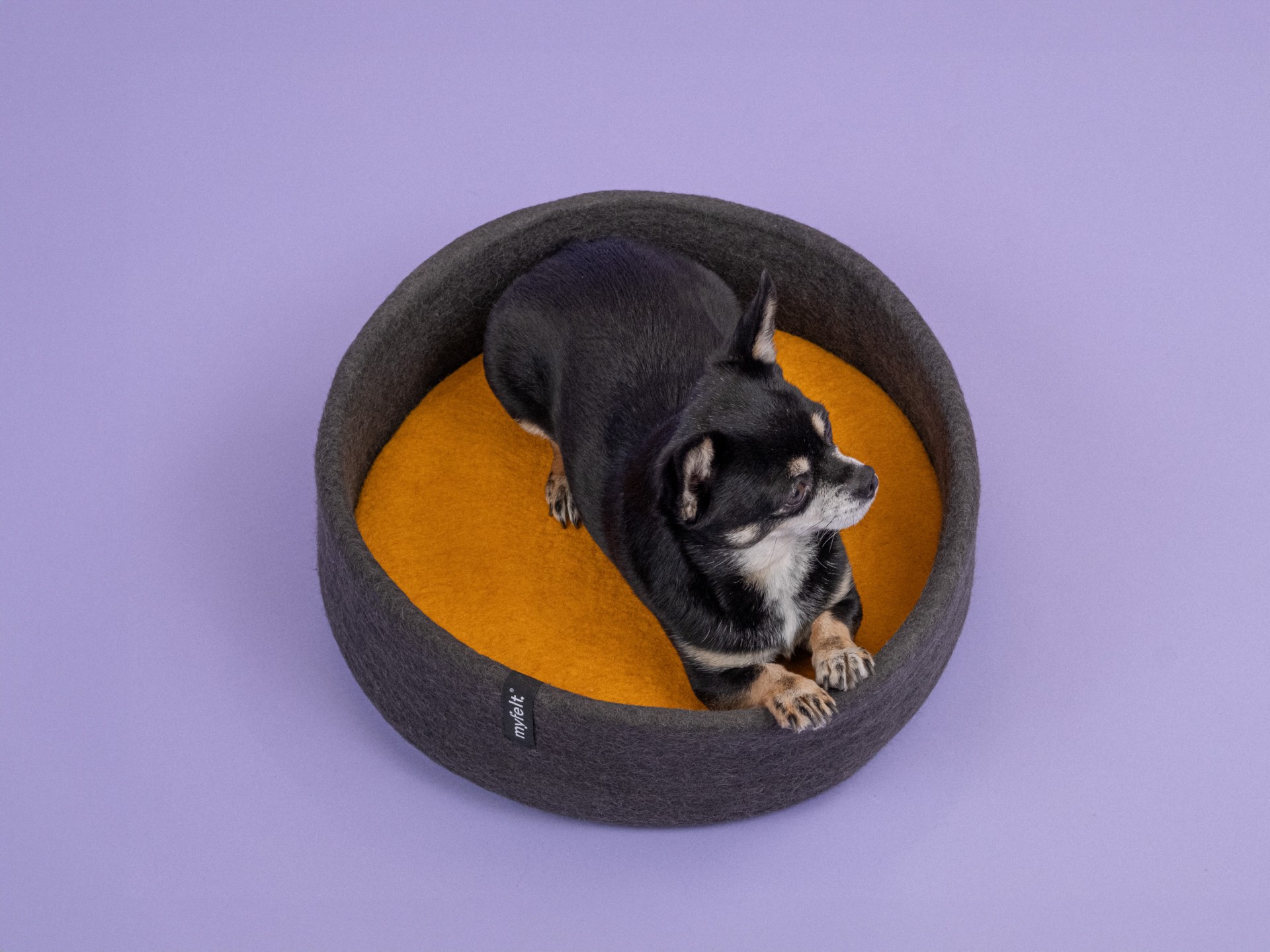 myfelt Kuno Hundekorb - Inlay Rotorange