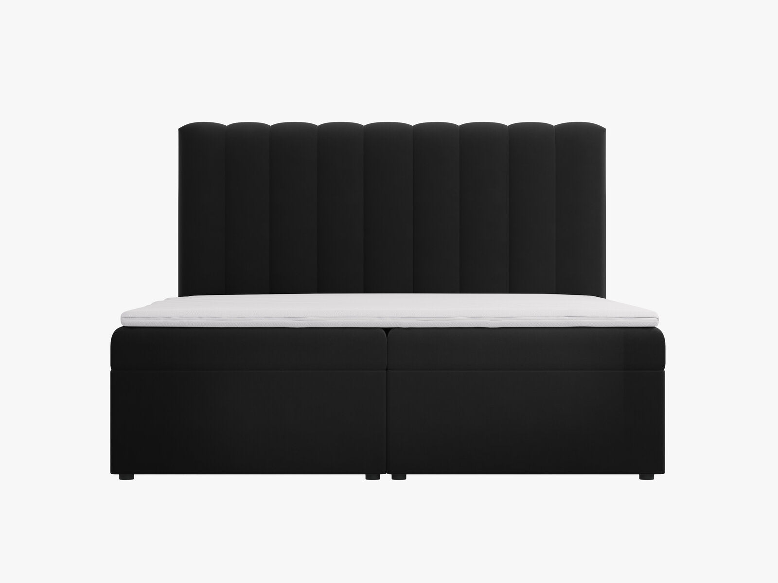 Micadoni Boxspringbett Kelp Samt Schwarz 180x200