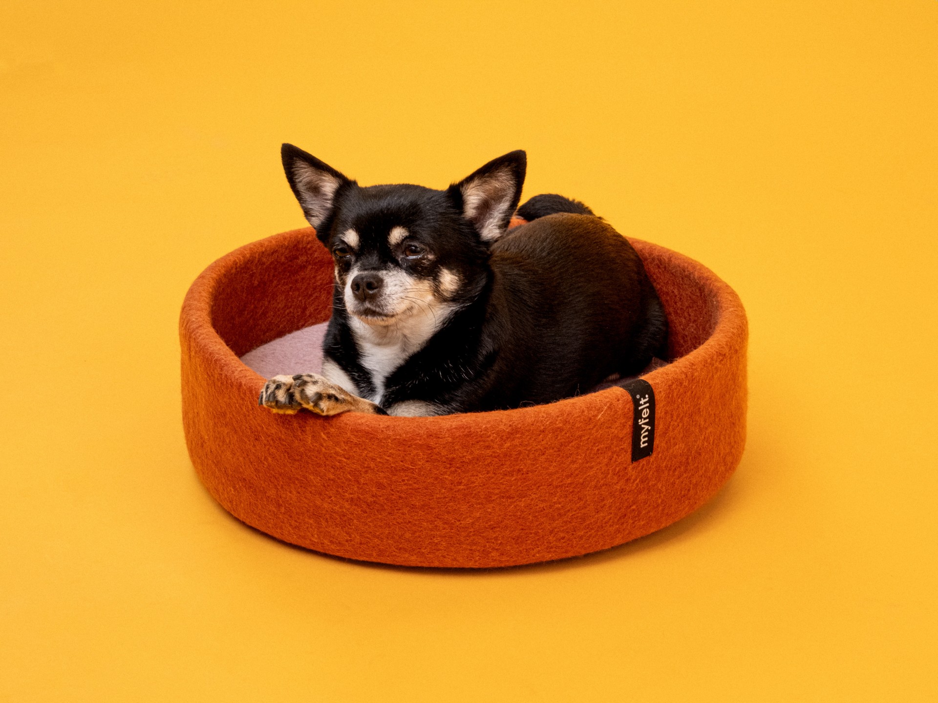 myfelt Lora Hundekorb - Inlay Ockergelb