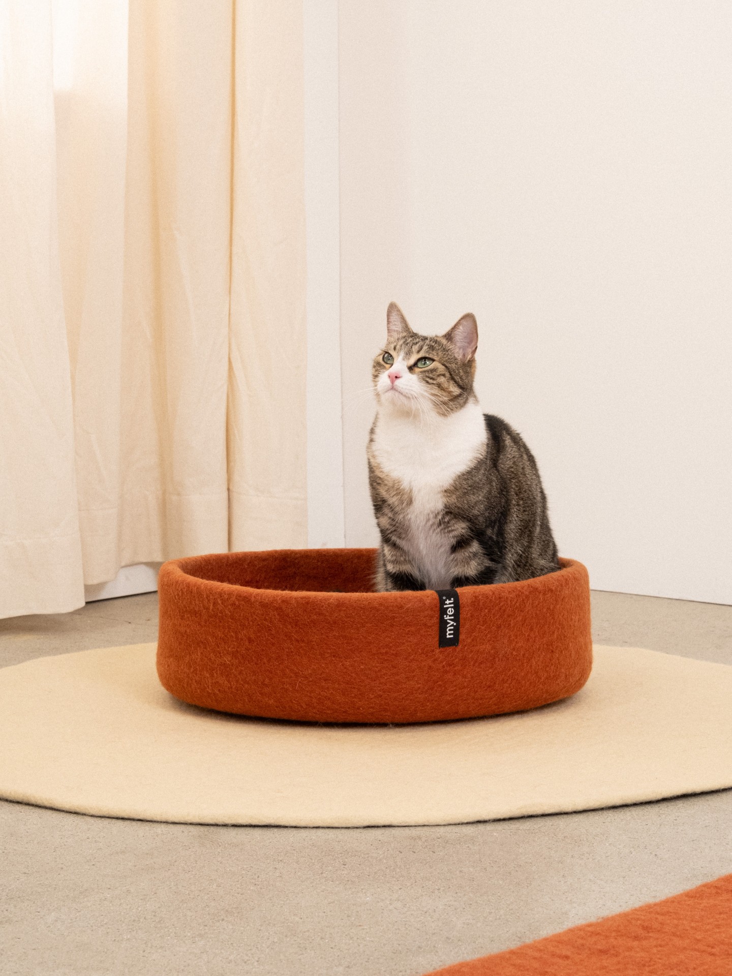 myfelt Lora Katzenkorb - Inlay Ockergelb