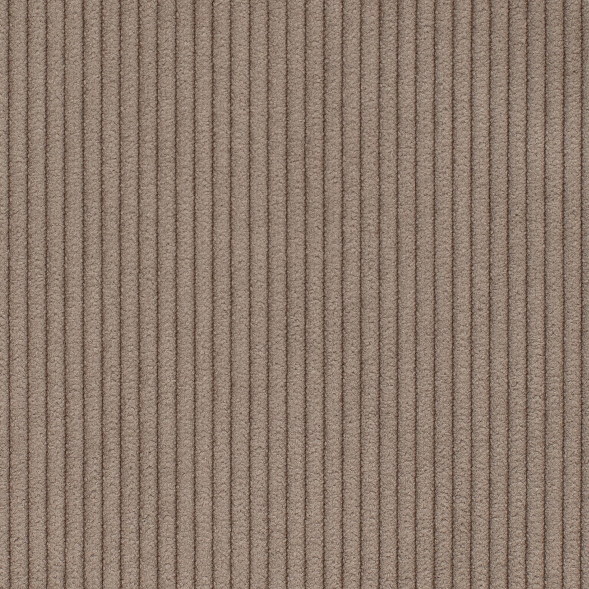 Kord Cordufine · 318-Beige