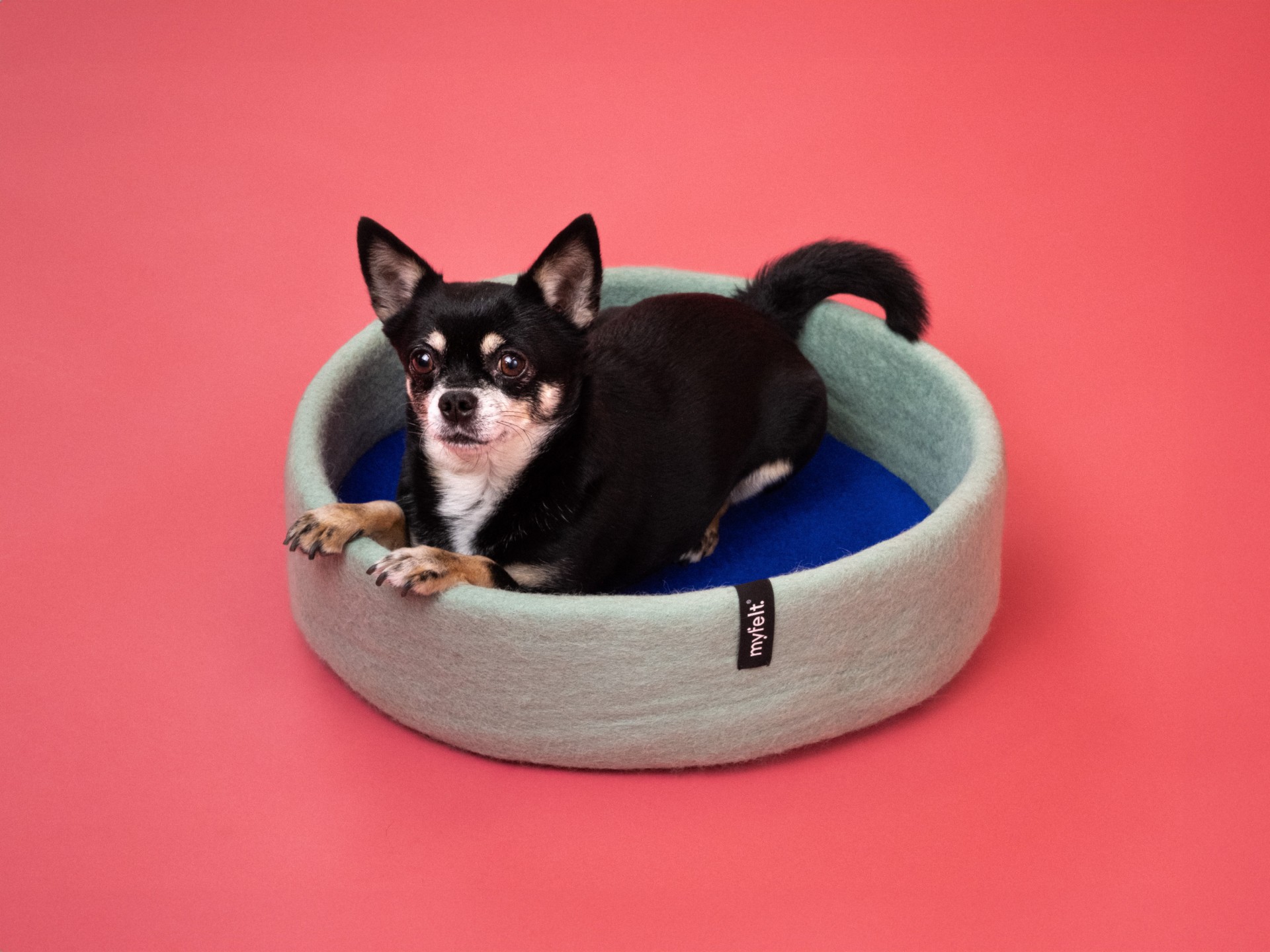 myfelt Fine Hundekorb - Inlay Ockergelb