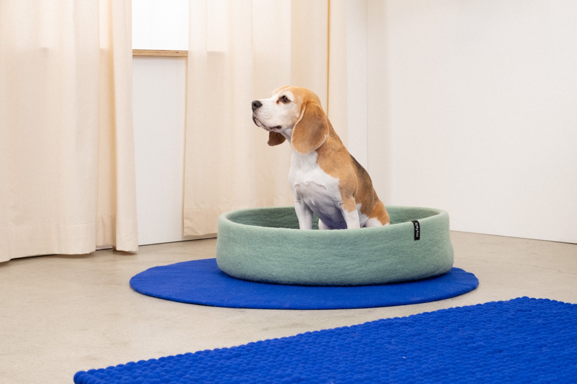 myfelt Fine Hundekorb - Inlay Braun