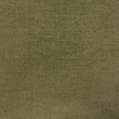 Vintage Velvet (S2) – Vintage Velvet Dry Moss 11