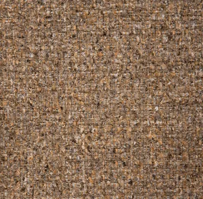 Society (S2) – Society Cinnamon