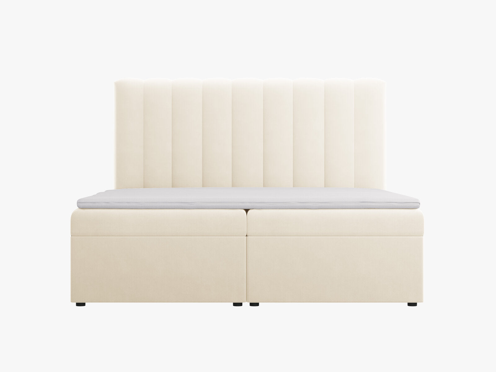 Micadoni Boxspringbett Kelp Samt Helles Beige 180x200