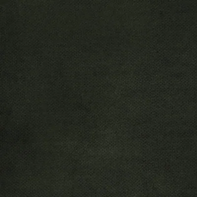Vintage Velvet (S2) – Vintage Velvet Black Forest 12