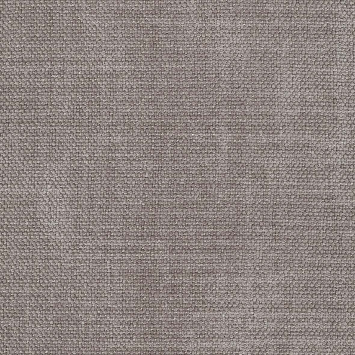 Chenille Esina · 418-Truffle