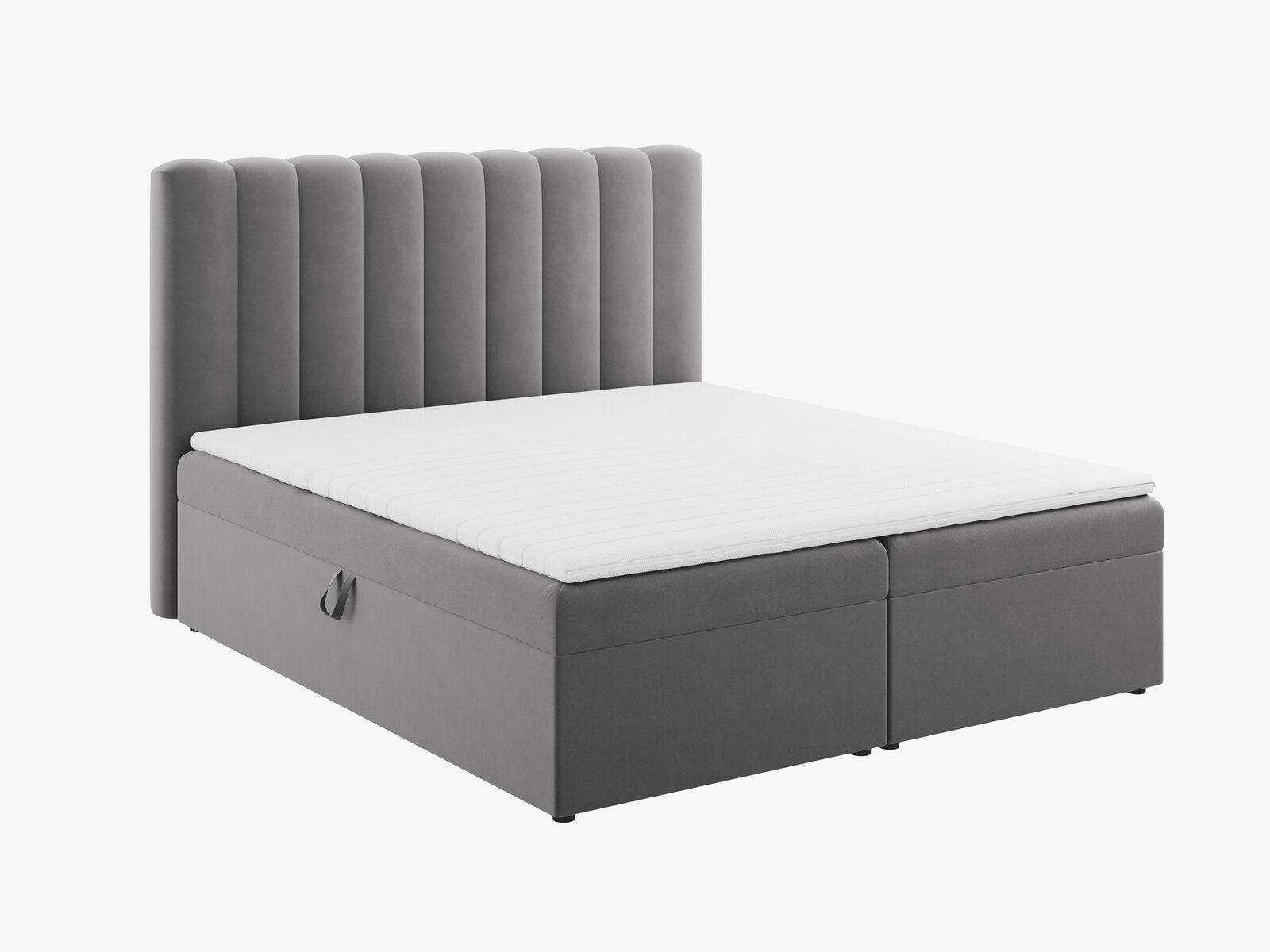 Micadoni Boxspringbett Kelp Samt Grau 160x200