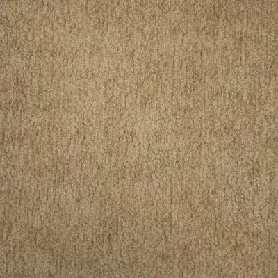 Stella (S1) – Stella Camel 09
