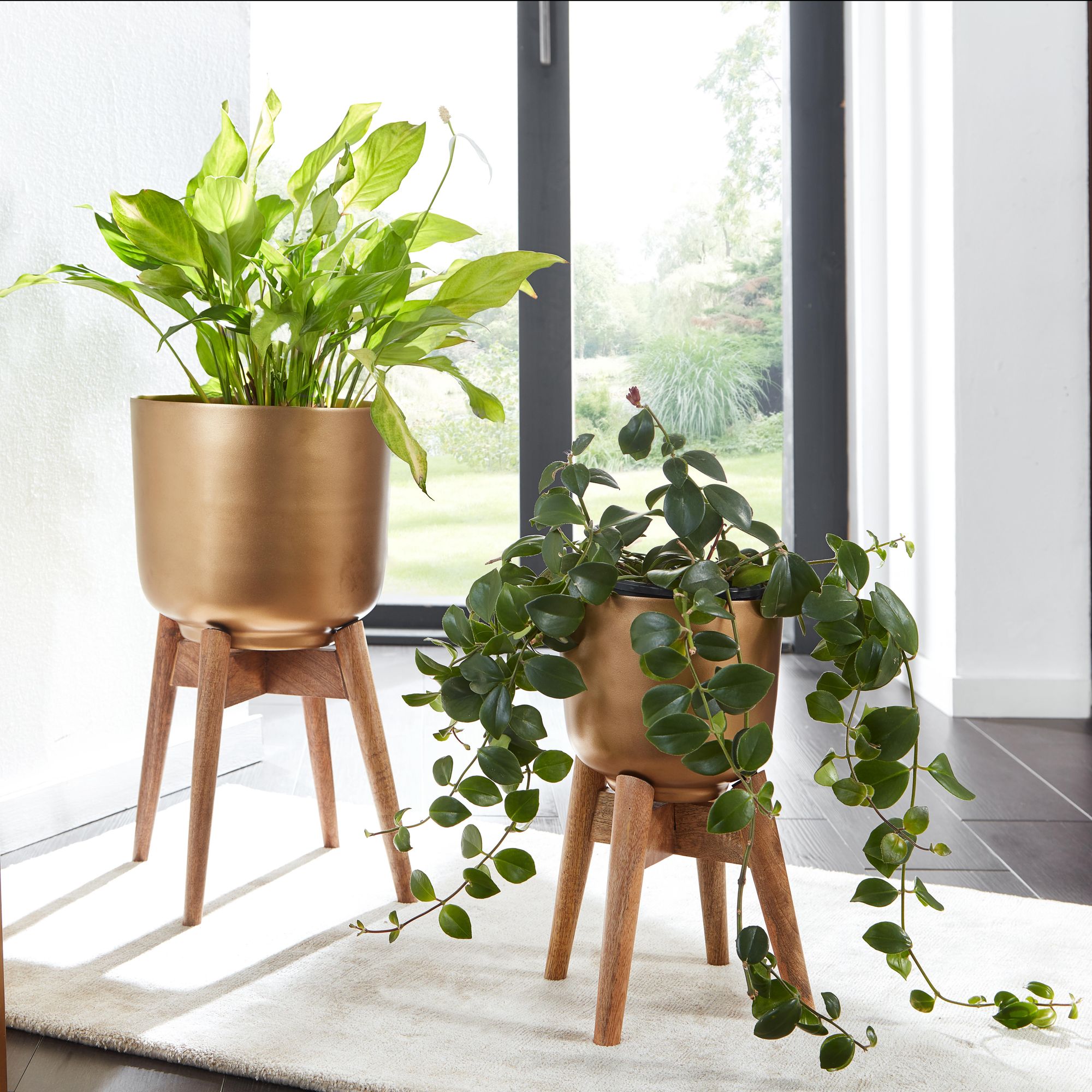 Blumentopf Surtsey Mango Massivholz Gold