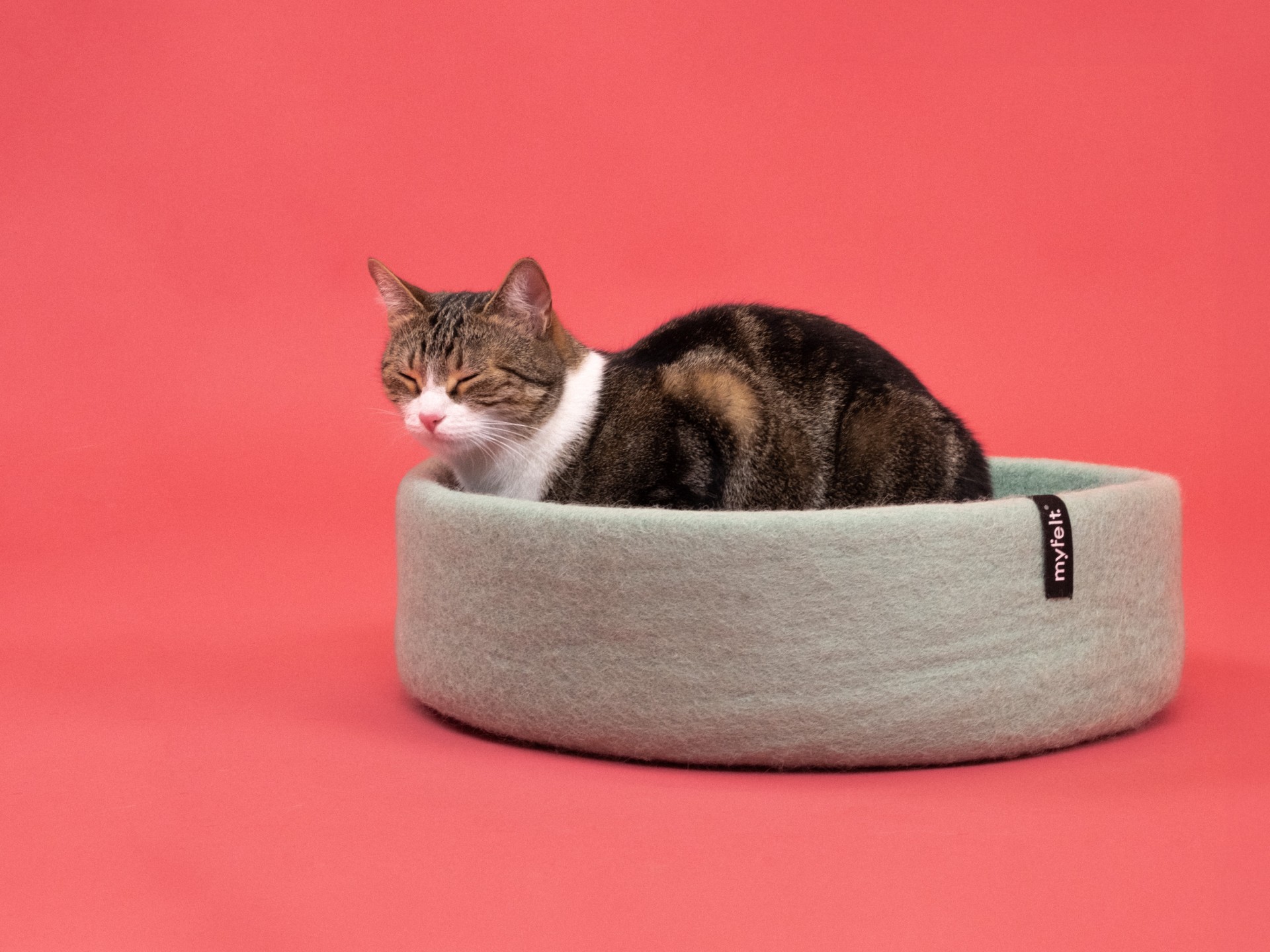 myfelt Fine Katzenkorb - Inlay Rotorange