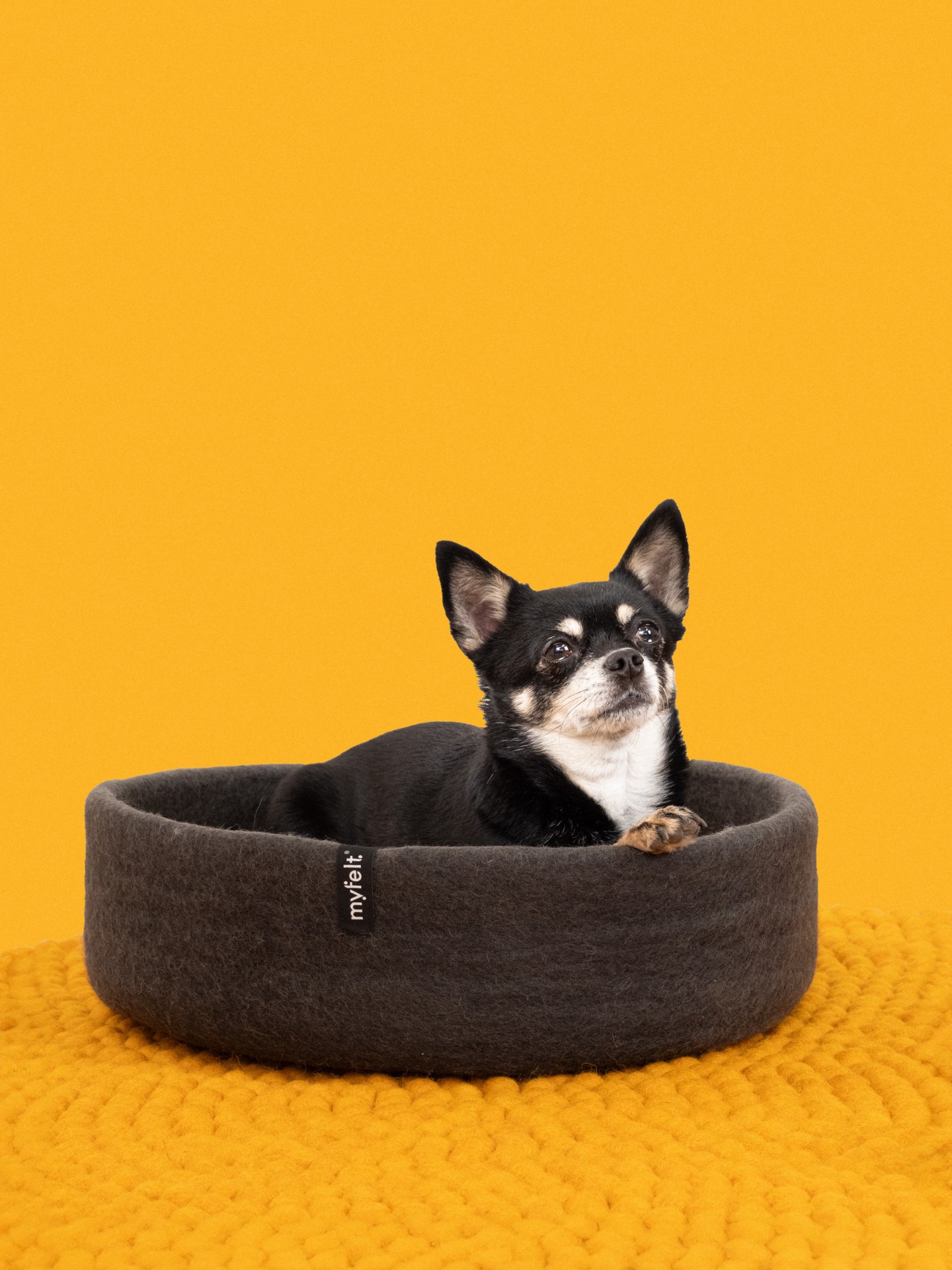myfelt Kuno Hundekorb - Inlay Rotorange