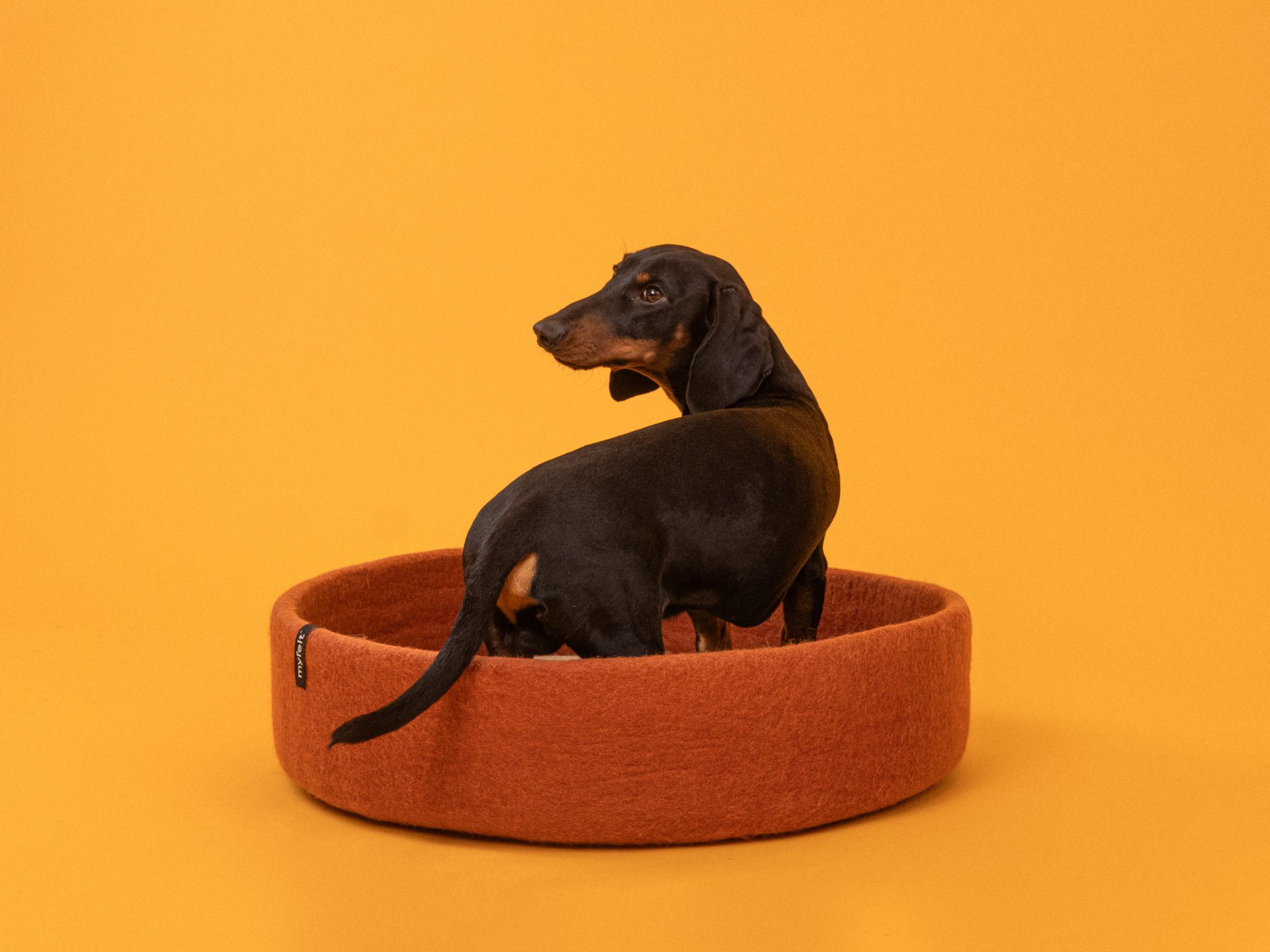 myfelt Lora Hundekorb - Inlay Beige