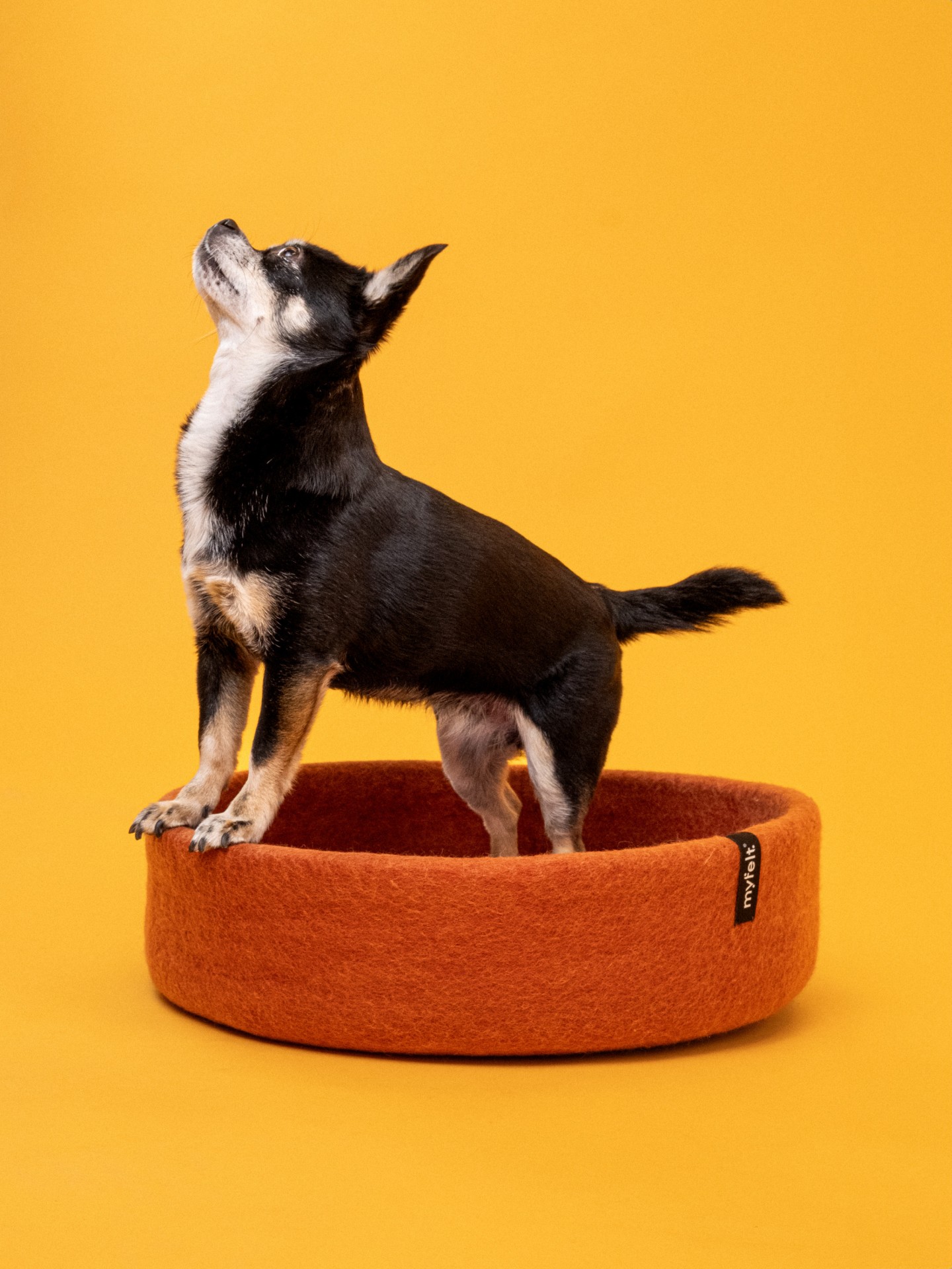myfelt Lora Hundekorb - Inlay Ockergelb