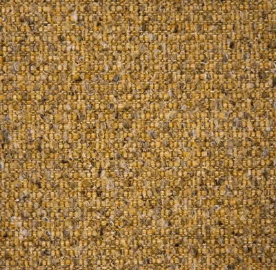 Society (S2) – Society Mustard