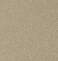 champagne-icon