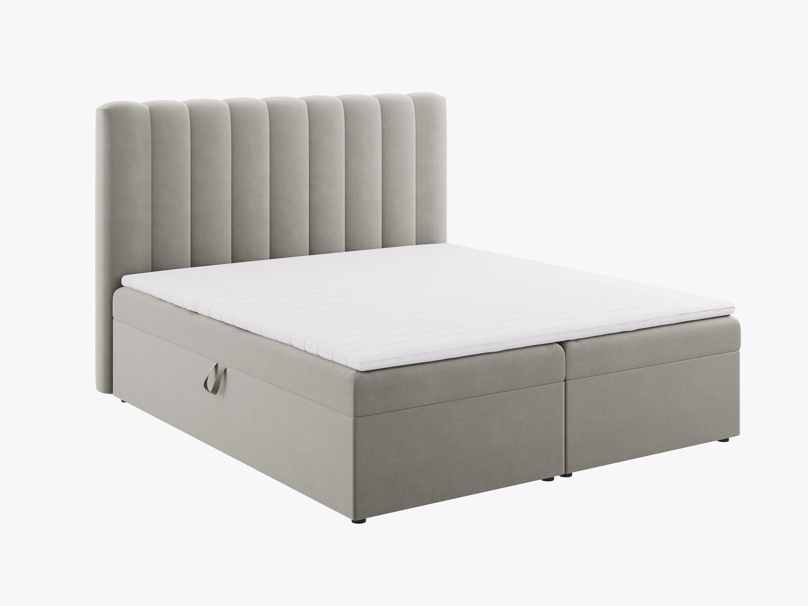 Micadoni Boxspringbett Kelp Samt Hellgrau 180x200