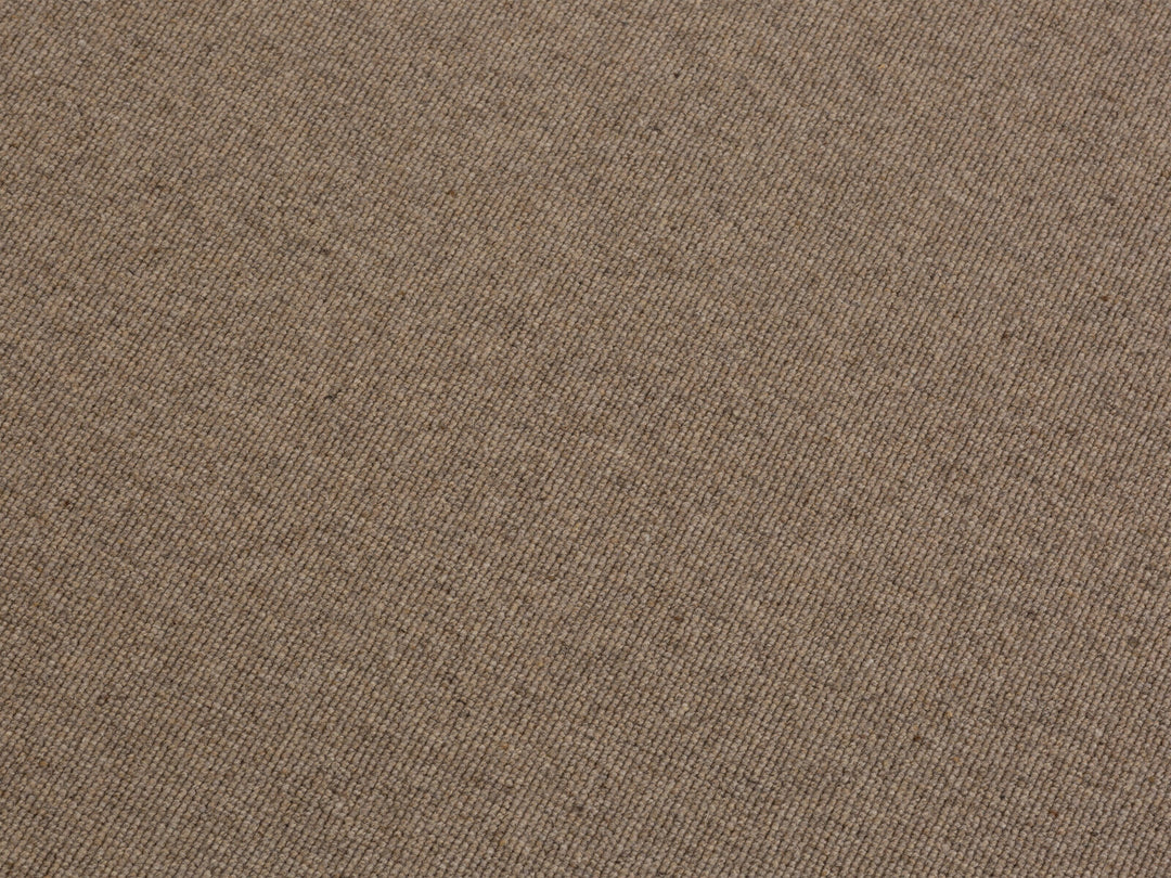 Micadoni Terra Teppich 200x300