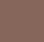 paint-sylvia-icon