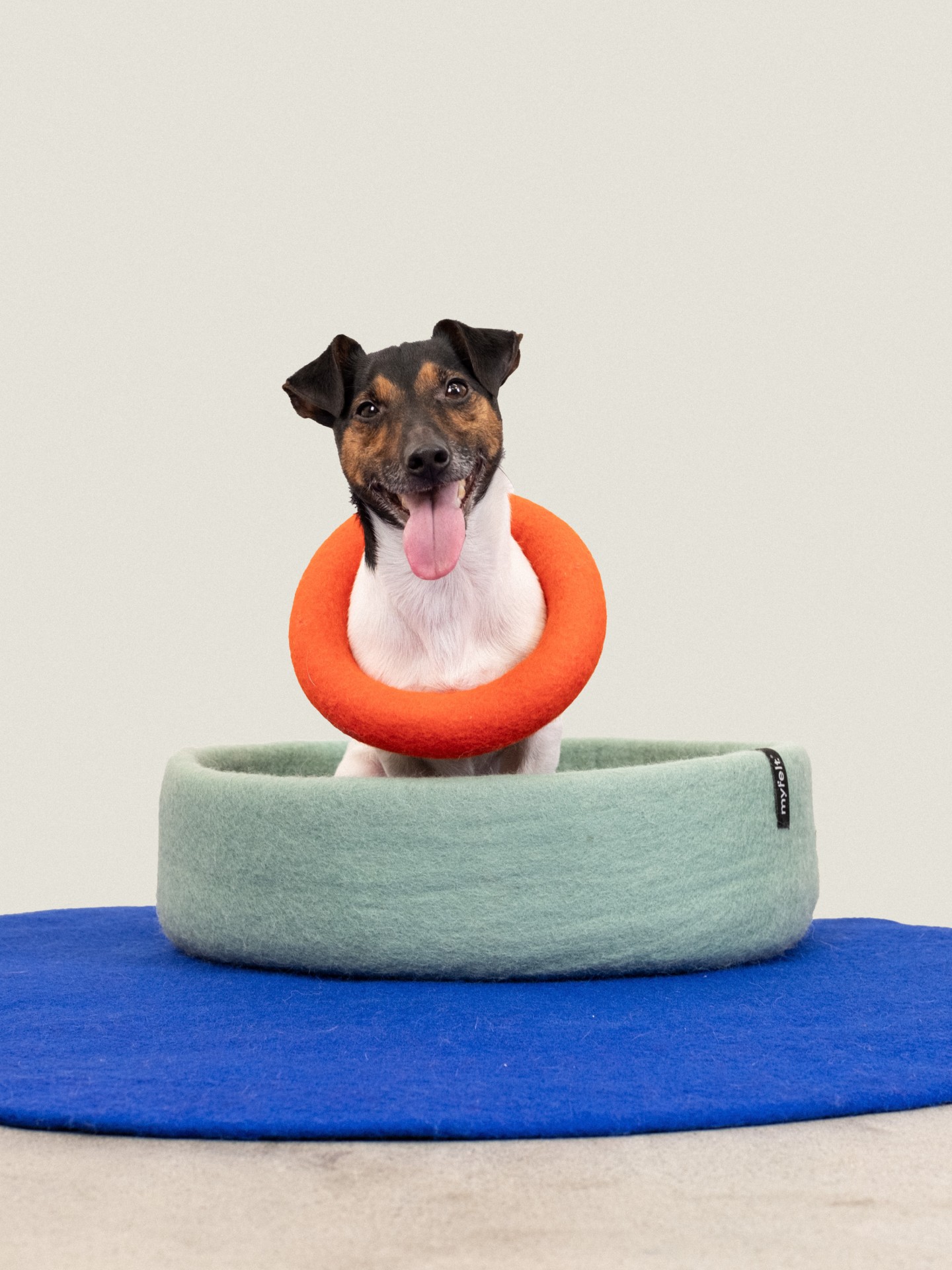 myfelt Mats Hundespielzeug - Ring