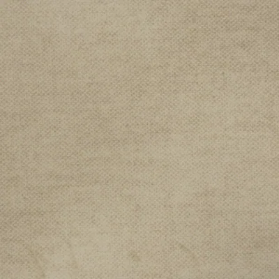 Vintage Velvet (S2) – Vintage Velvet Sahara Beige 2