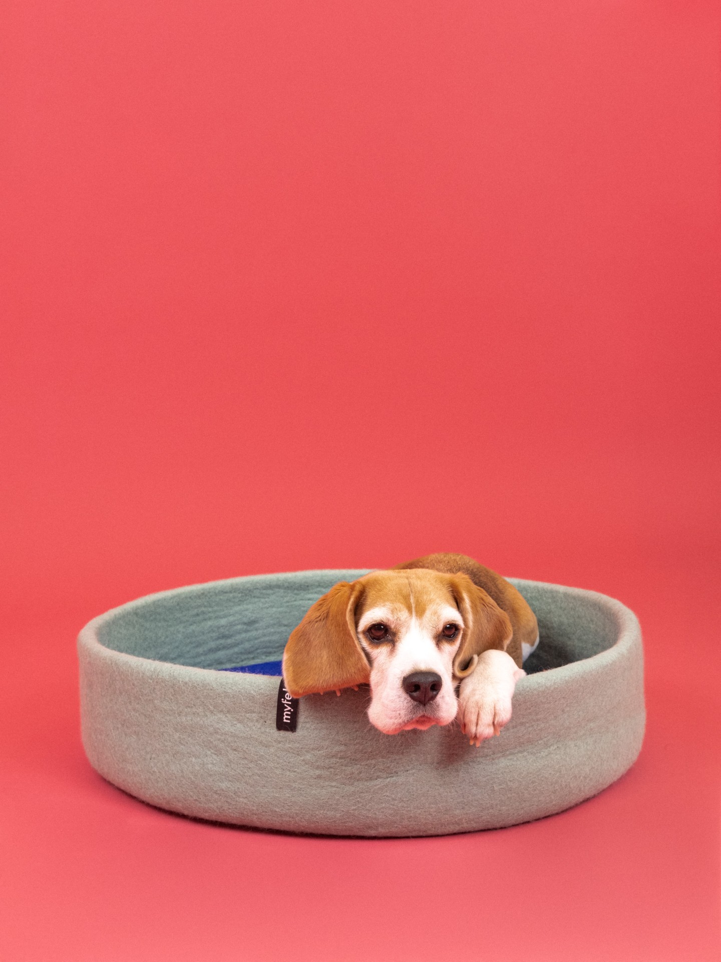 myfelt Fine Hundekorb - Inlay Braun